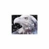 Majestic eagle with artistic overlay, symbolizing strength and integrity.
